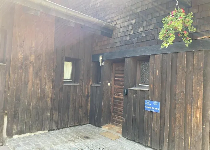 Appartement La Pomme De Pin 1 Avec Terrasse *